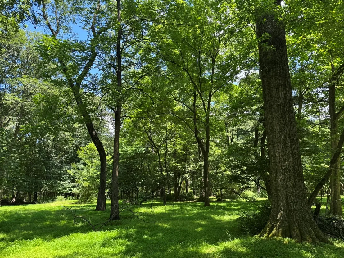 Photo of 268 Cherry Lane