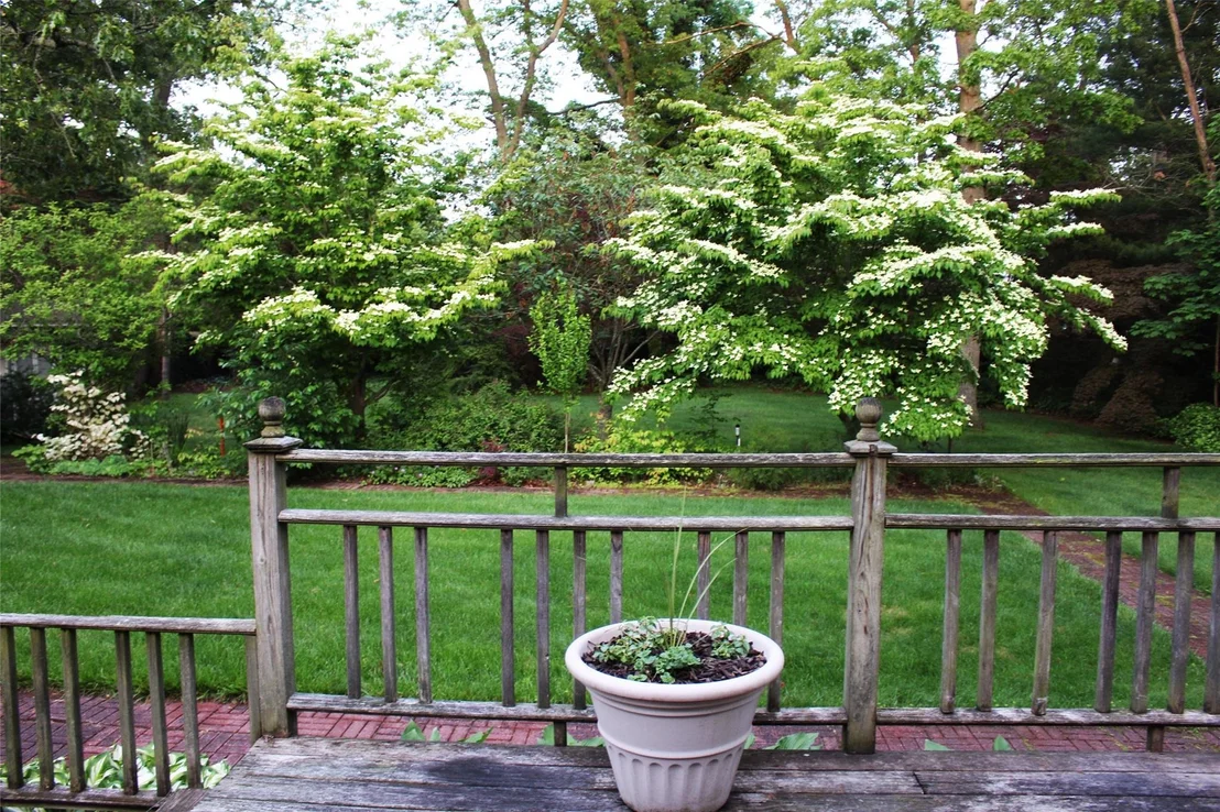 Photo of 113 Pine Neck Avenue