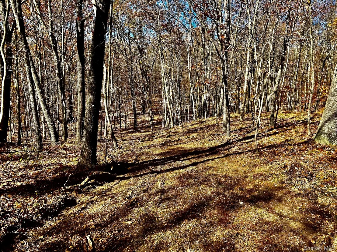 Photo of Westfall