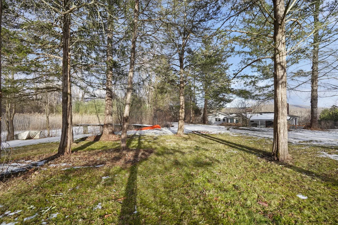Photo of 24 Buttonwood Road