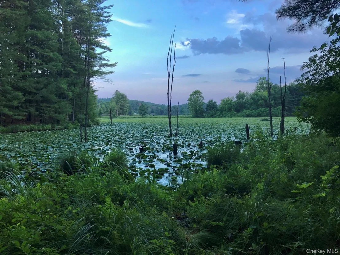 Photo of 177 Webber Road