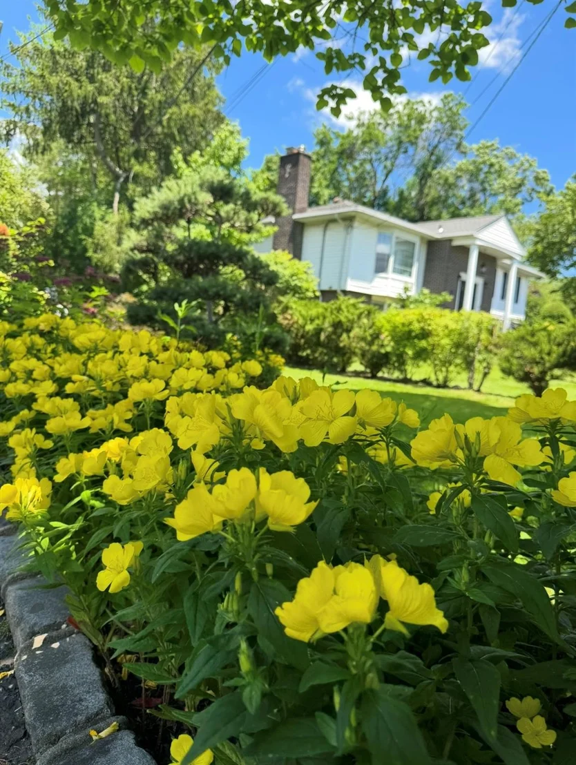 Photo of 132 Crescent Drive