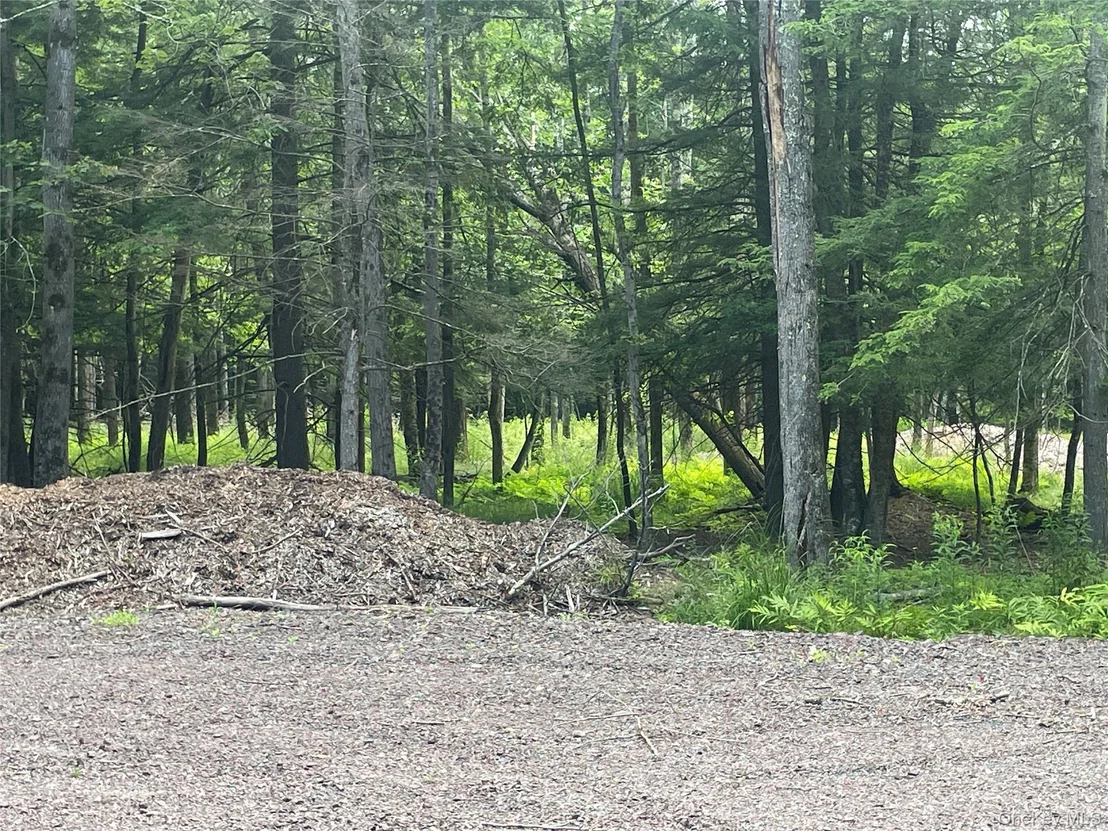 Photo of TBD Lot 8 Boulder Brook Road
