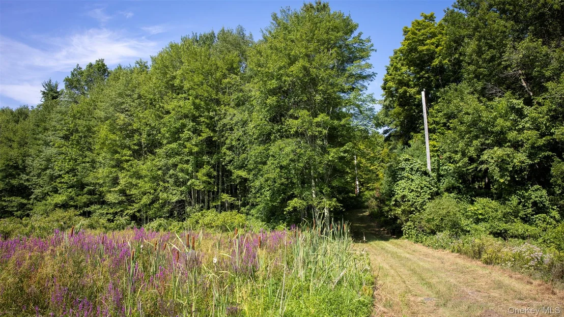 Photo of 327 Phillips Road