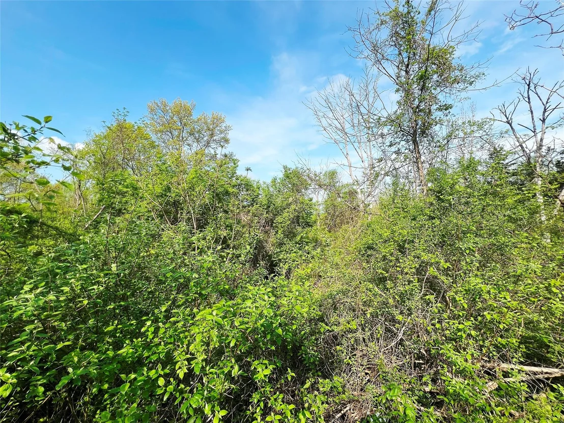 Photo of 160 Tommy Trail