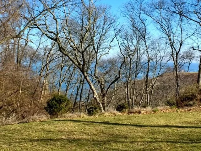 Photo of 86 Highland Down