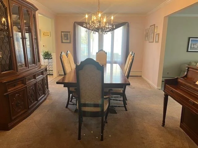 Photo of 10 Scott Drive