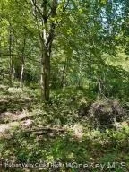 Photo of L-33 Harring Road