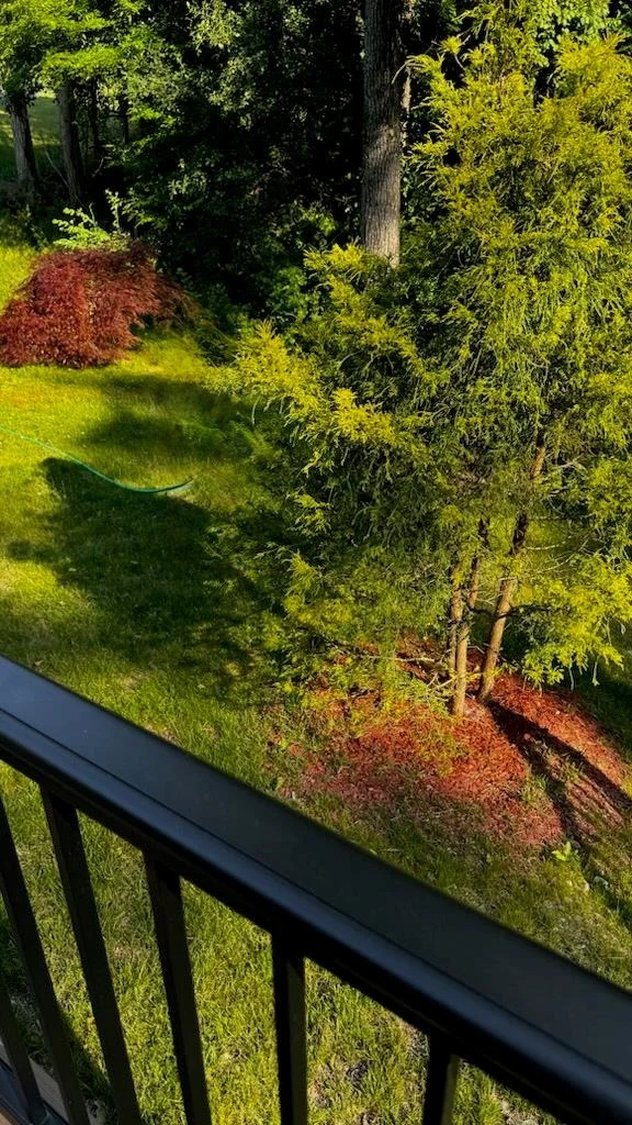 Photo of 12 W Wind Road