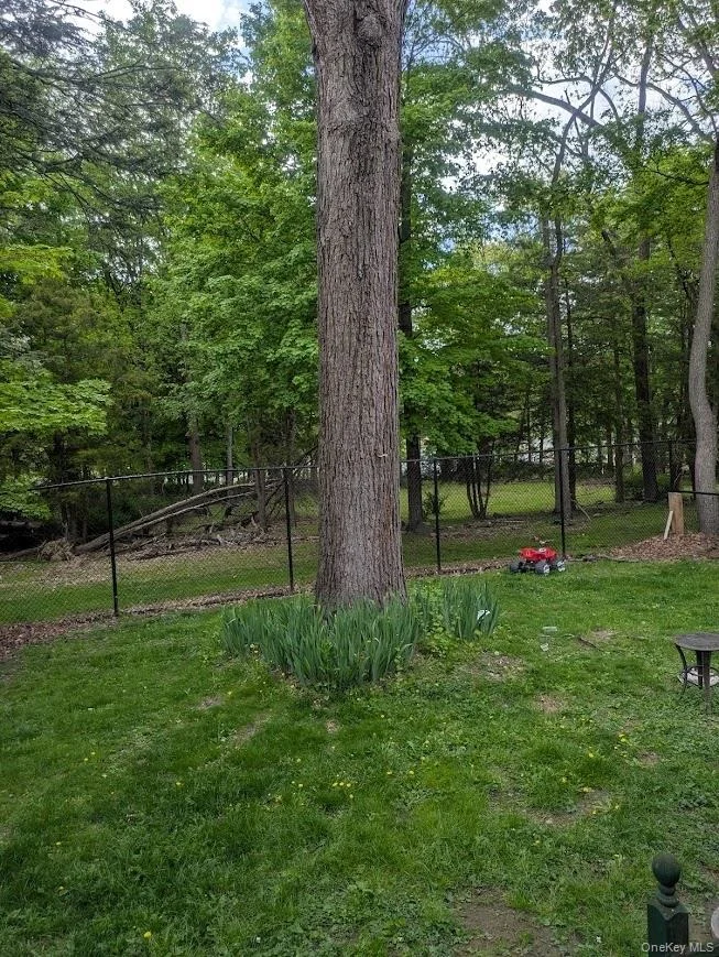 Photo of 44 Commonwealth Avenue