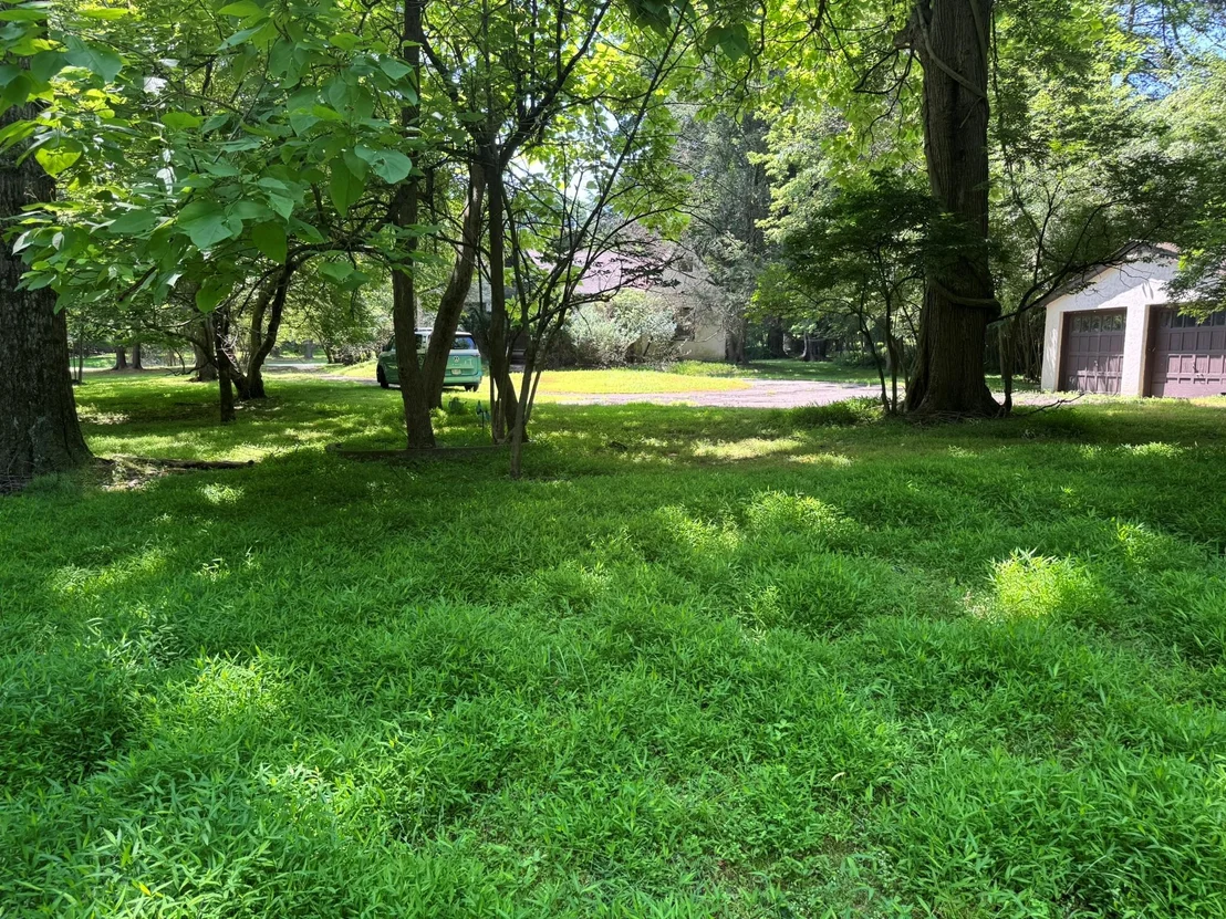 Photo of 268 Cherry Lane