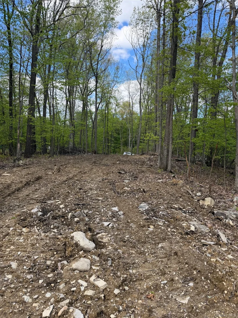 Photo of 748 State Route 44 55