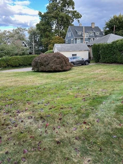 Photo of 88 Echo Avenue