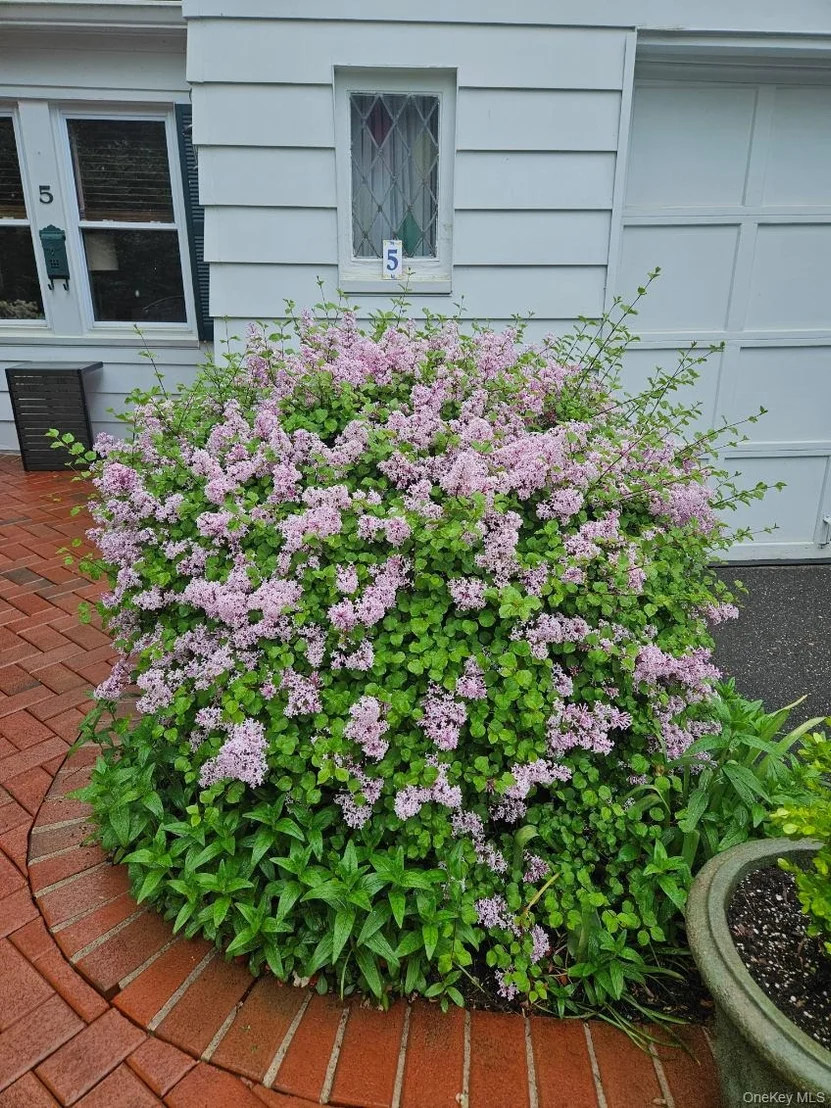 Photo of 5 Salem Way