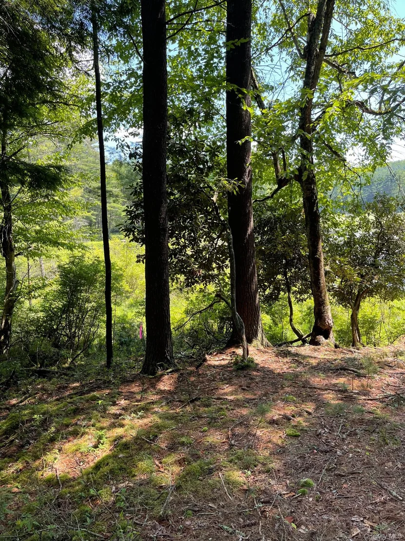 Photo of Lot 92 Mathias Weiden Drive