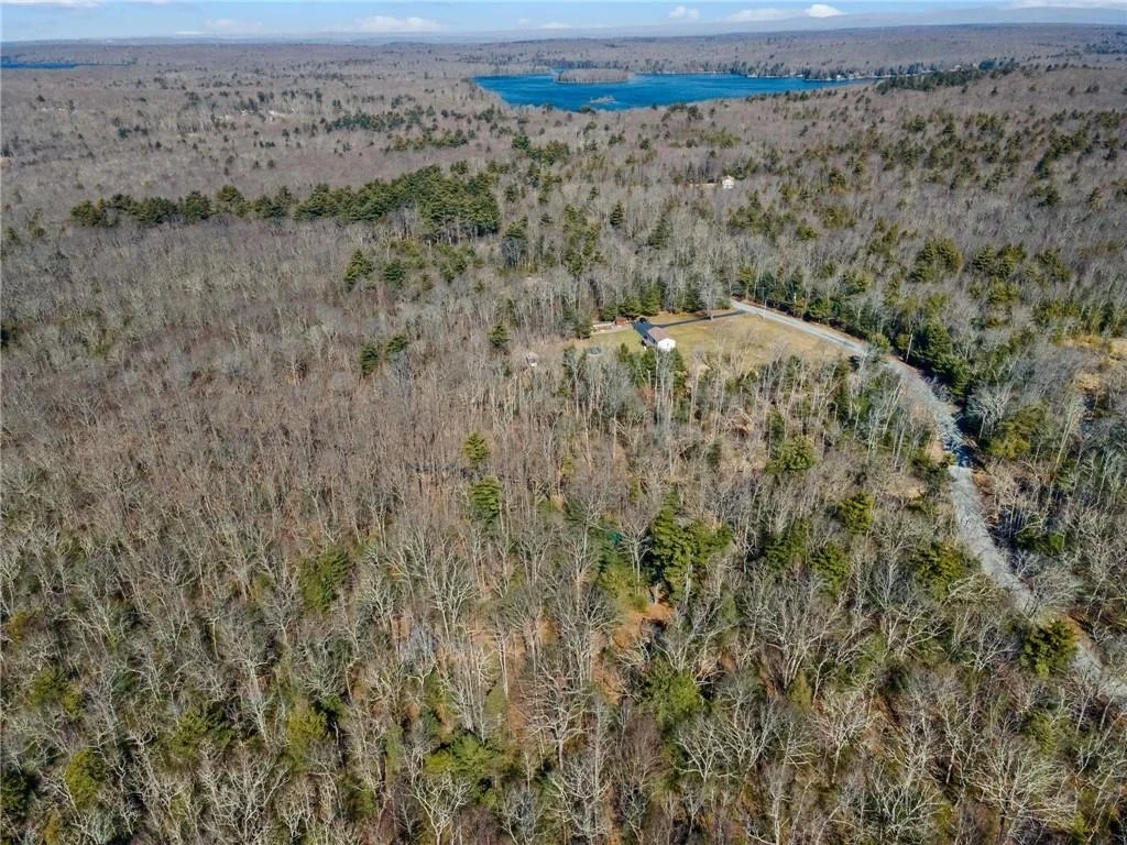 Photo of Pine Kill Road