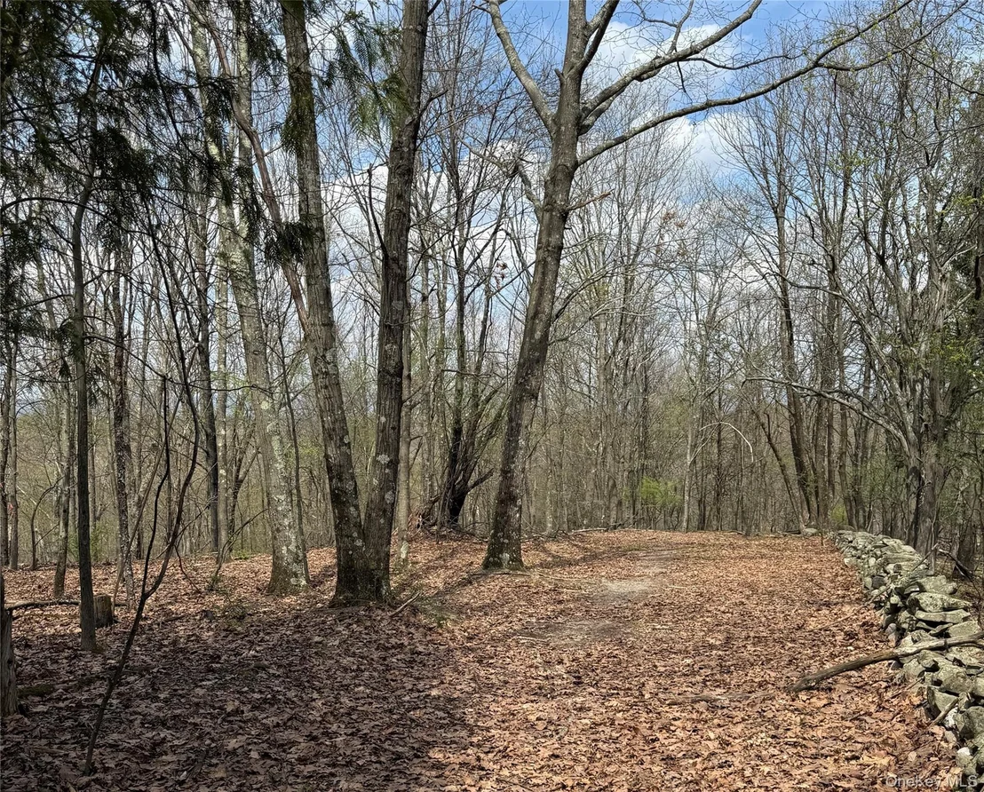 Photo of 383 Connors Road