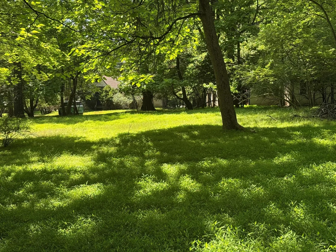 Photo of 268 Cherry Lane
