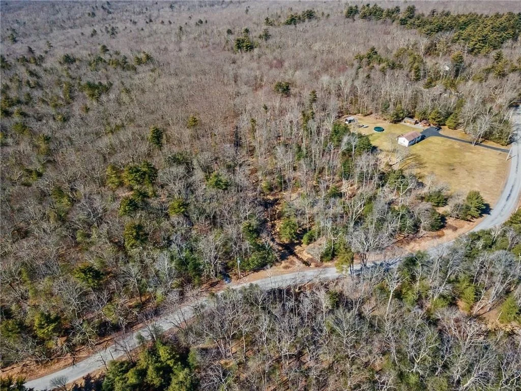 Photo of Pine Kill Road