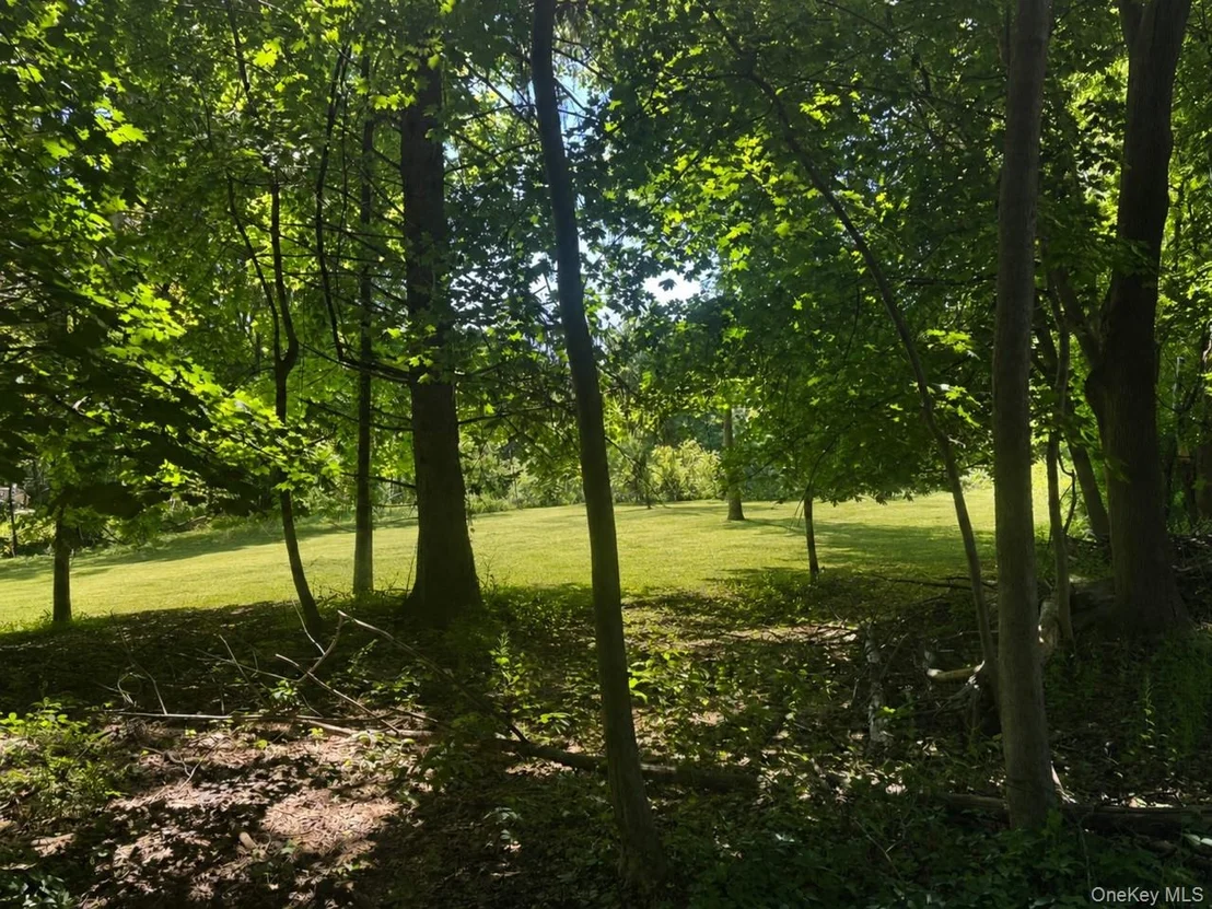 Photo of Route 55
