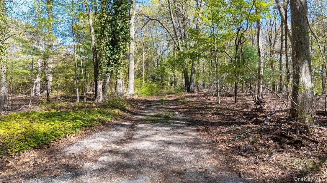 Photo of 7 Spring Hill