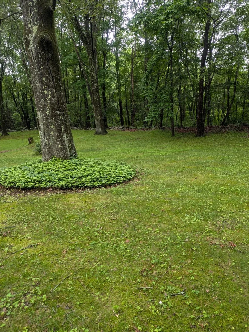 Photo of 24 Delilah Lane