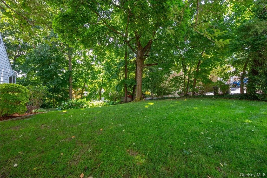 Photo of 55 Argyle Road