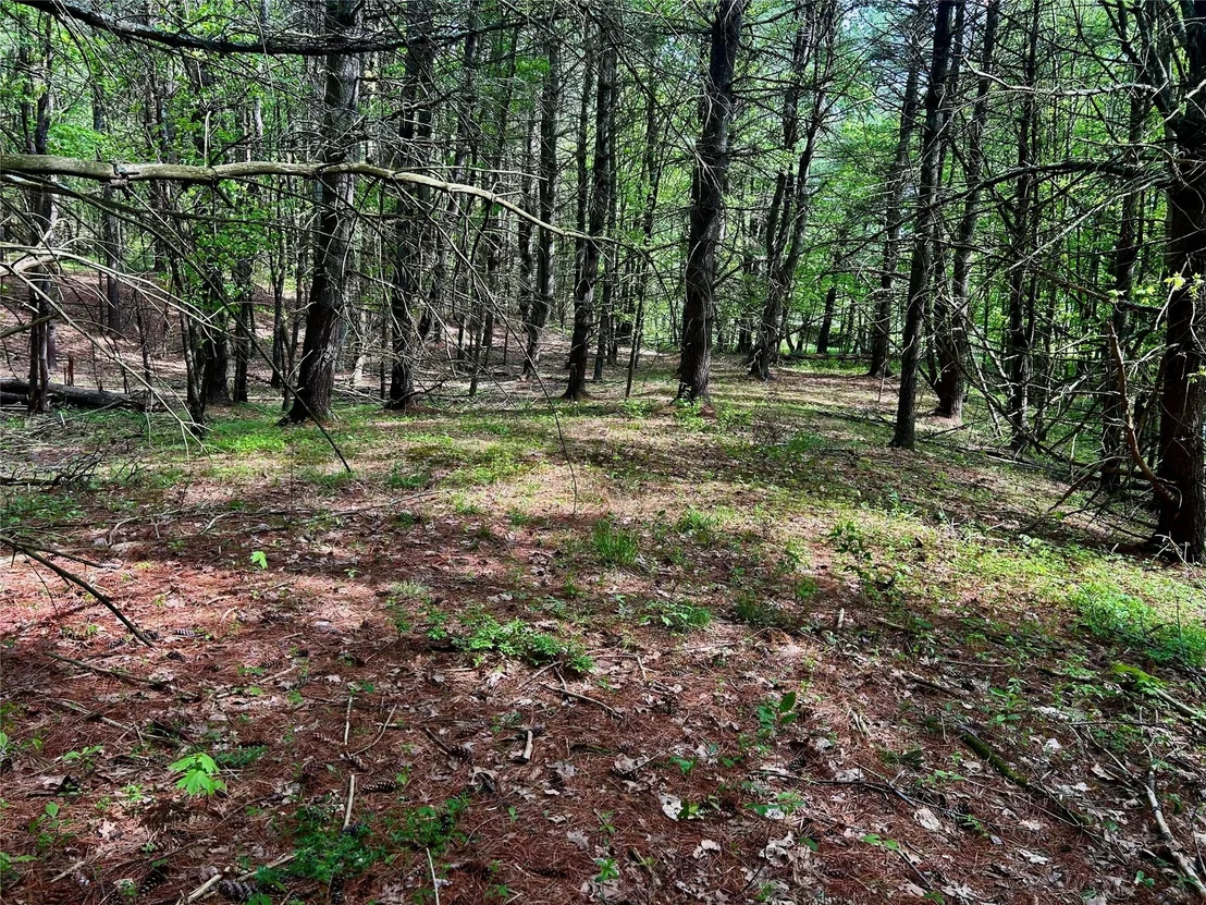 Photo of 844 County Route 27