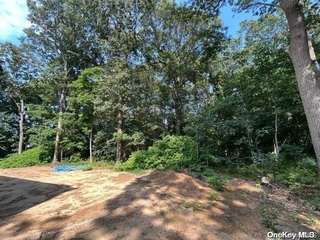 Photo of Lot 75 B Oak Street