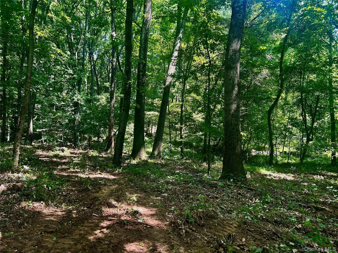 Photo of 109 Deer Run Road