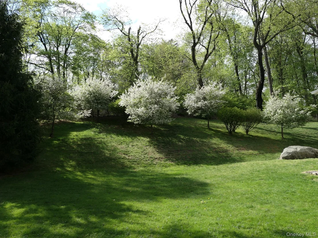 Photo of 77 Central Drive