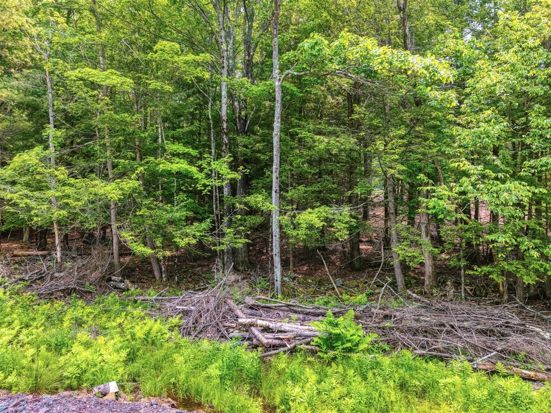 Photo of TBD Boulder Brook lot 13B Road