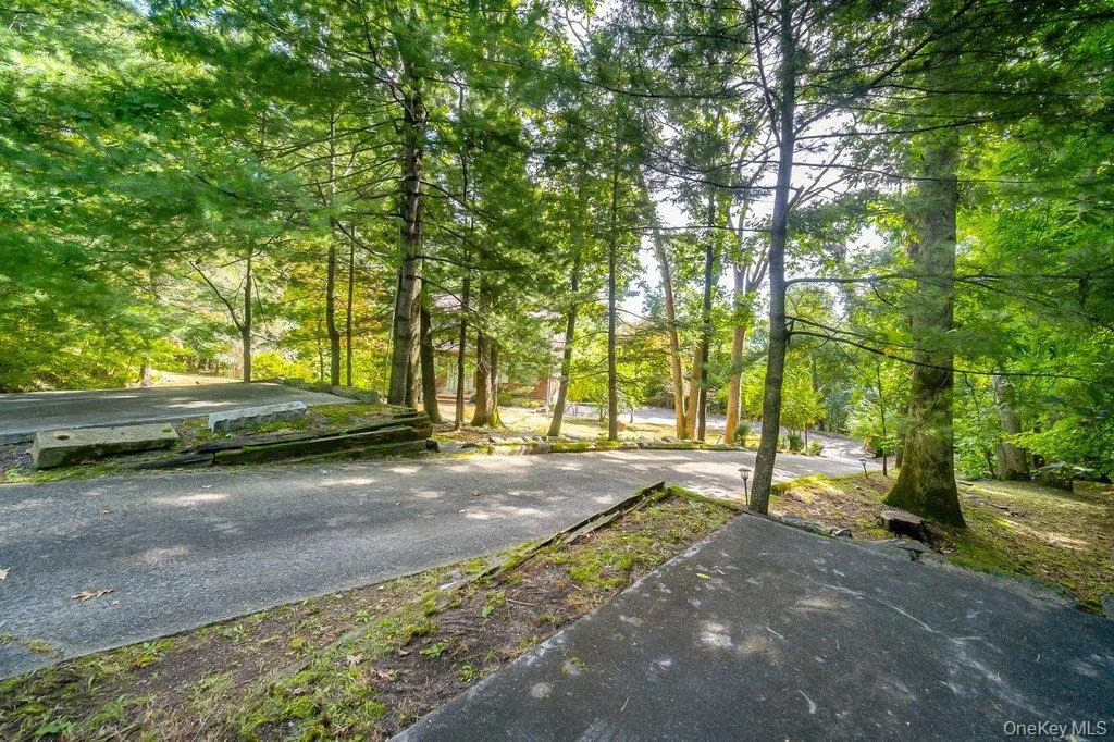 Photo of 57 Forest View Road