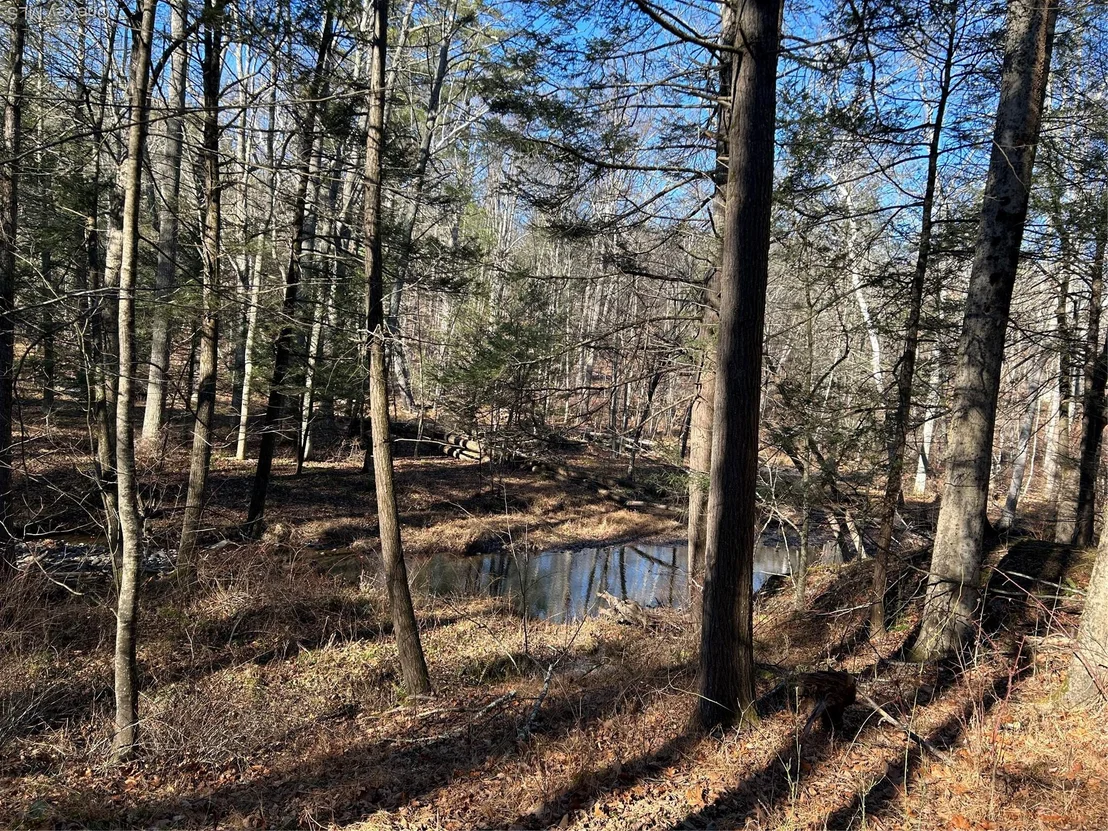 Photo of 26 MossyBrook Road