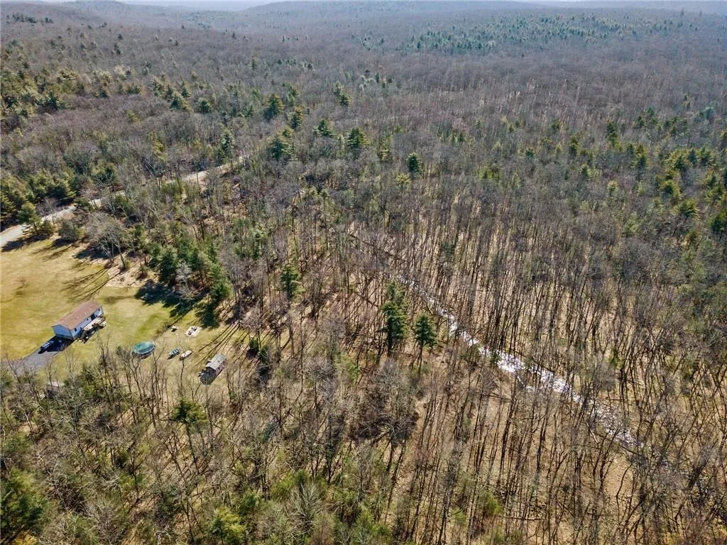 Photo of Pine Kill Road