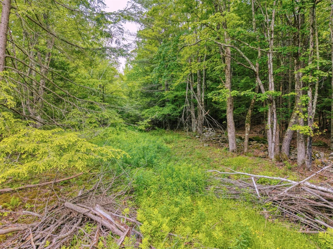 Photo of TBD Boulder Brook lot 13B Road