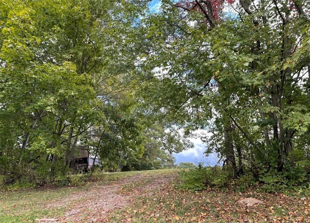 Photo of 19 Birch Road