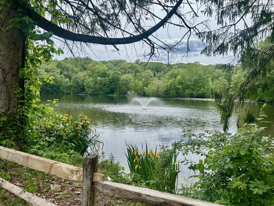 Photo of 9 Pine Trail
