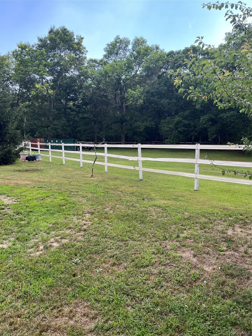 Photo of 4 Conservation Circus