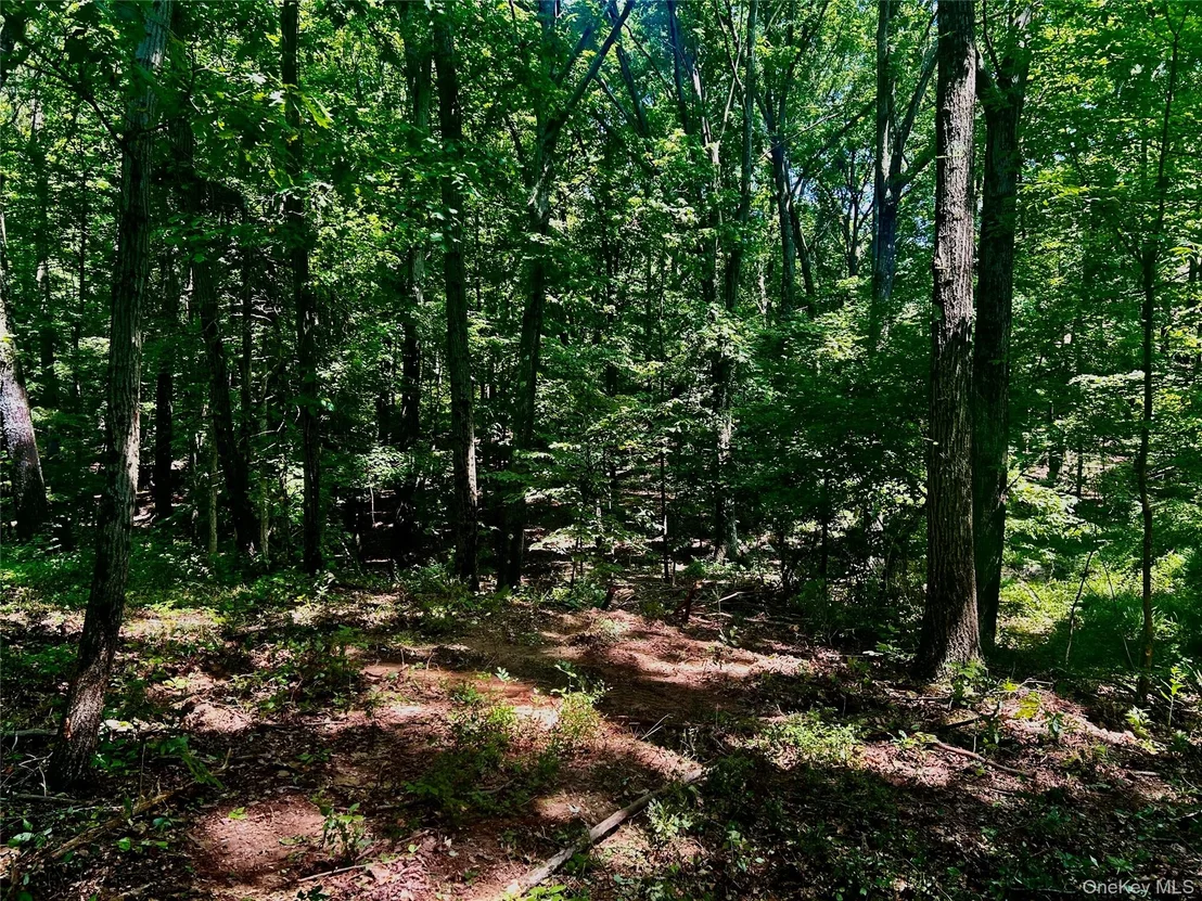 Photo of 109 Deer Run Road