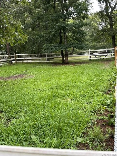 Photo of 4 Conservation Circus