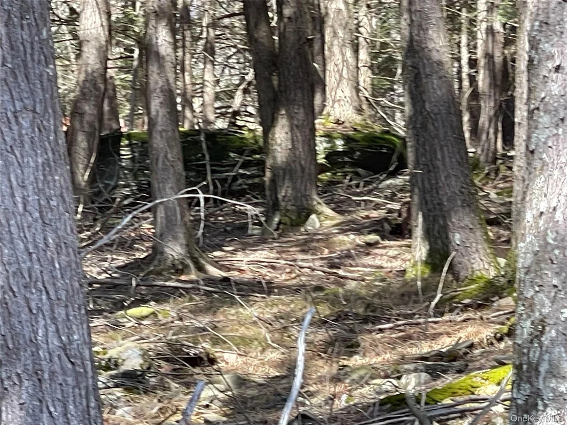 Photo of 58 Baker Road