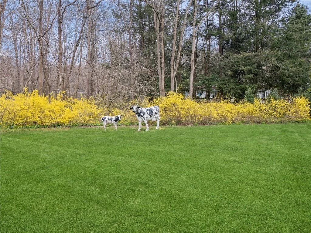Photo of 118 Philipse Brook Road