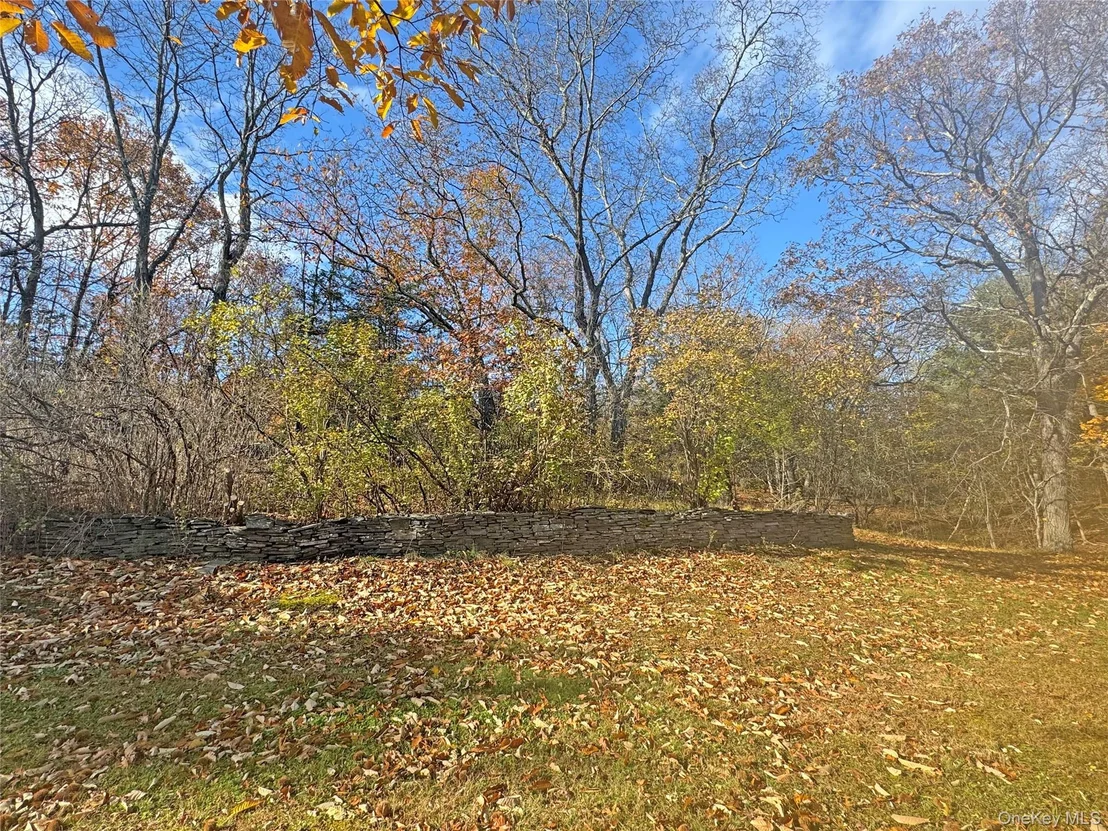 Photo of 55 Monti Drive
