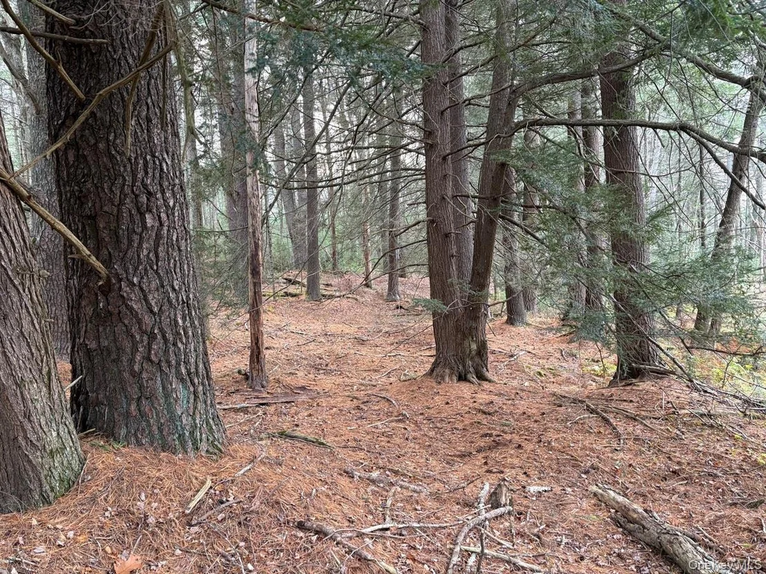 Photo of 0 Puckyhuddle Road