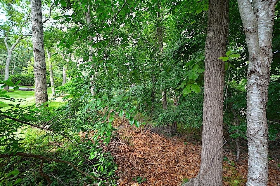 Photo of 34 Wards Path