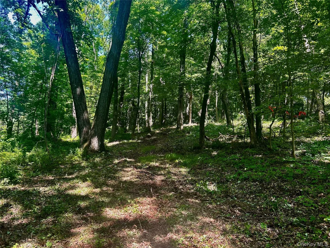 Photo of 109 Deer Run Road