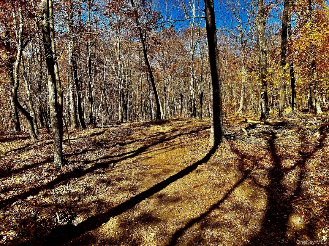Photo of Westfall