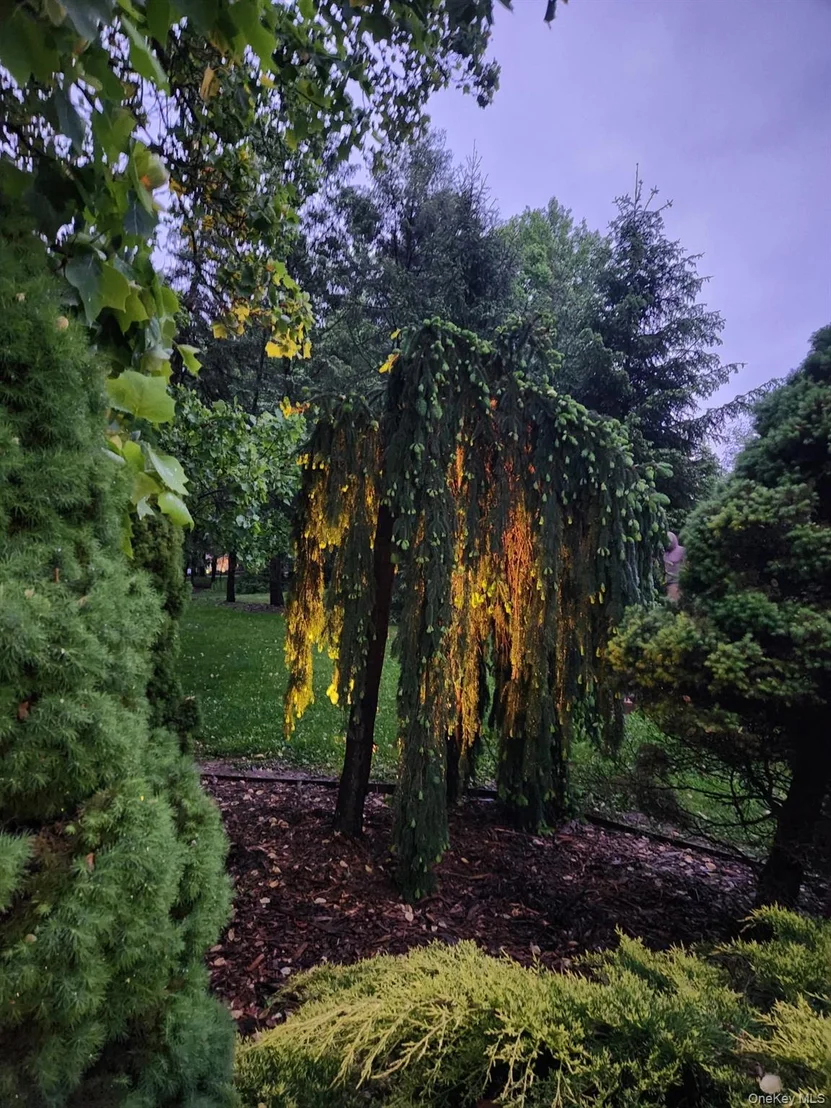 Photo of 4 Mountain Brook Road