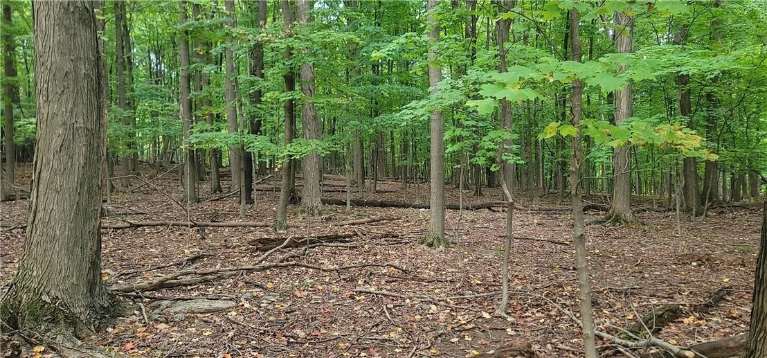 Photo of Lot 6 Bethlehem Road